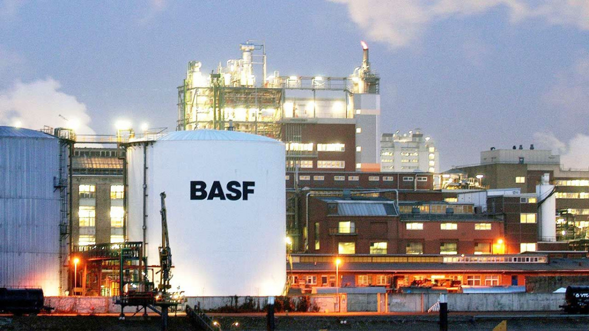 Basf planta